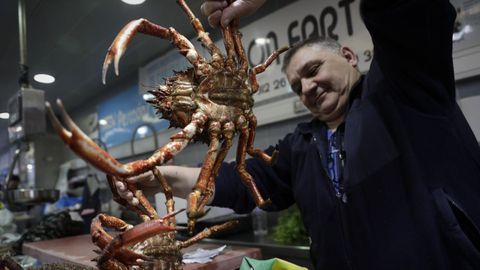 Marisco y pescado en la plaza de Lugo, en A Corua