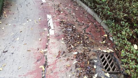 Carril bici en el polgono de Pumarn, junto a la Escuela Oficial de Idiomas