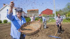 Sementeira tradicional en San Cremenzo de Pazos: �mira as imaxes!