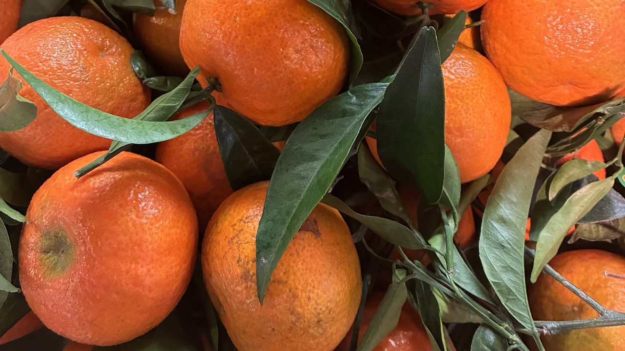 Las mandarinas regresan con fuerza este otoño