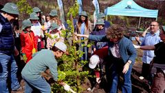 M�s de un centenar de escolares participaron en la reforestaci�n