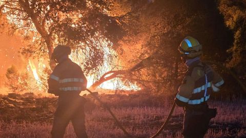 Trabajos de extinci�n del incendio forestas declarado en la localidad zaragozana de Leci�ena