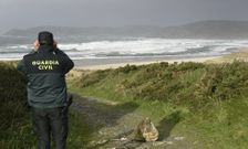Un guardia civil inspeccionaba ayer el entorno de la zona de la desaparici�n. 