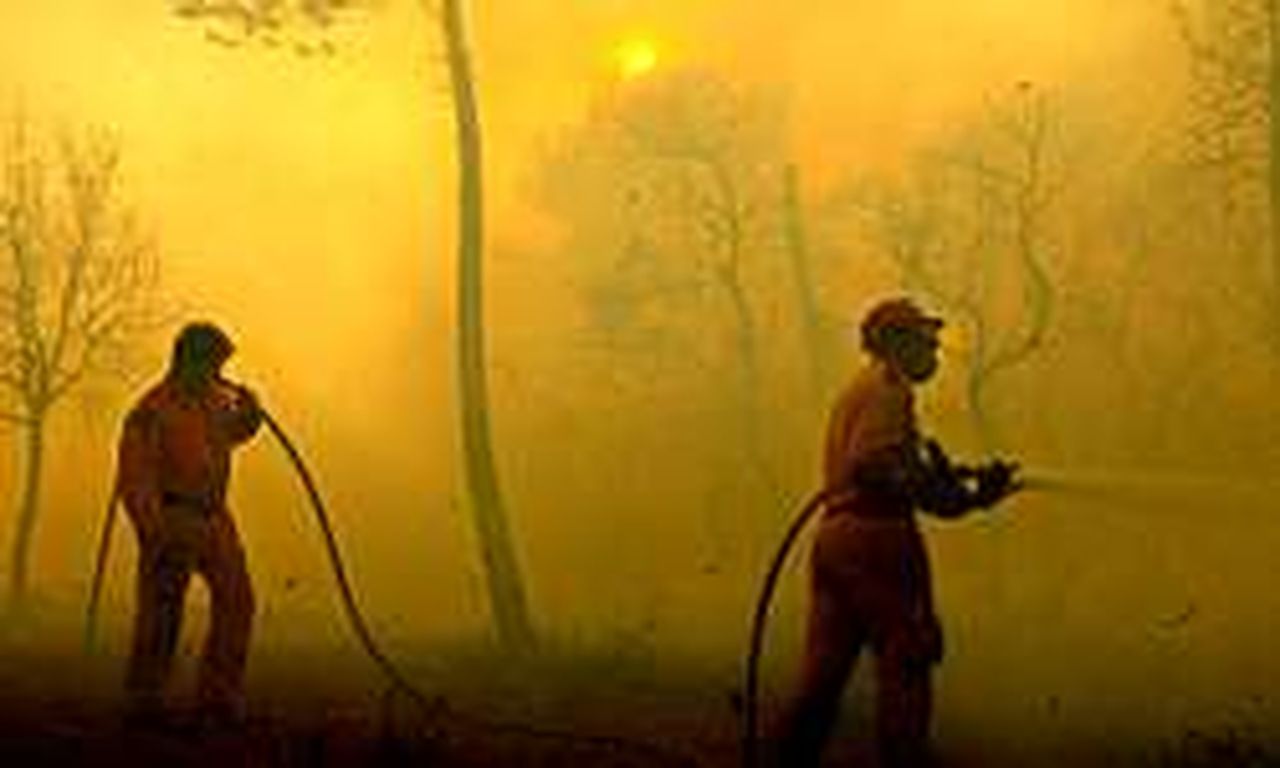 Portugal pide ayuda internacional para combatir la oleada de incendios ...