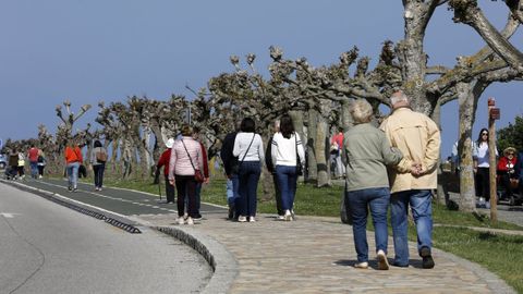 En algunos puntos el carril bici confluye con el espacio reservado a peatones