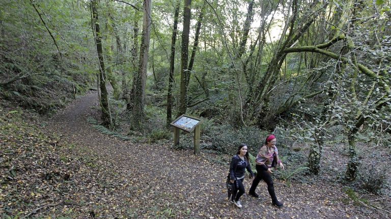 La ruta por el monte de Bembrive.