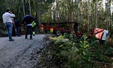 El cami�n acab� frenado por los �rboles y cruzado sobre una carretera.