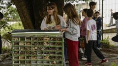 <span lang= gl >Actividades de Voz Natura no colexio Fingoi de Lugo</span>