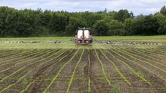 El proyecto permitir� saber cu�l es el rendimiento de las distintas zonas de una parcela dedicada a ma�z forrajero