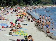 Numerosas personas frecuentan cada verano la playa.