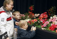 La flor de las R�as Baixas ofrece un aliciente para disfrutar, tambi�n, en familia.