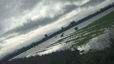 Un campo anegado por el temporal en A Limia