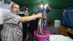 Familias y pandillas volvieron a reunirse en casetas a orillas del Landro para disfrutar del viernes del pulpo de Naseiro