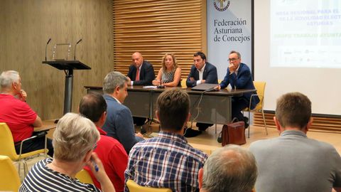 De izquierda a derecha, el director de la Fundaci�n Asturiana de la Energ�a (Faen), Juan Carlos Aguilera, la directora general de Miner�a y Energ�a, Belarmina D�az, el vicepresidente de la Fundaci�n Asturiana de Concejos (FACC), Gerardo Sanz, y  el responsable del �rea de Ahorro y Eficiencia Energ�tica de Faen, Carlos Garc�a