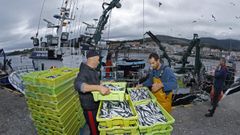 Algunos eurodiputados coinciden con los pescadores al considerarlos esenciales como proveedores de alimentos sanos y con menos huella de carbono que la mayora de productos comestibles