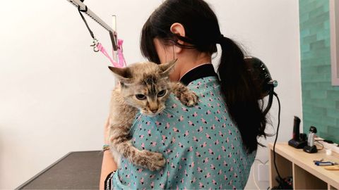 La peculiaridad de su negocio es que tambi�n trabaja con gatos, algo m�s dif�cil de encontrar.