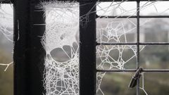 El temporal Filomena dej� grandes heladas en Ourense