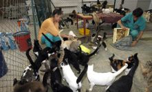 Desde hace tres a�os Proyecto Gato se ubica en una nave de Coia, aunque su idea es trasladarse a otro municipio del entorno. 