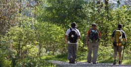 Siete rutas principales -en la imagen, un tramo del Camino Portugu�s- conducen a los peregrinos hacia Santiago de Compostela. 
