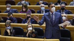  Pedro S�nchez, interviene en una Sesi�n de Control en el Senado