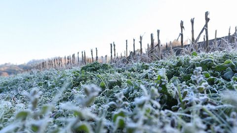 0 grados en Abegondo (A Coru�a)