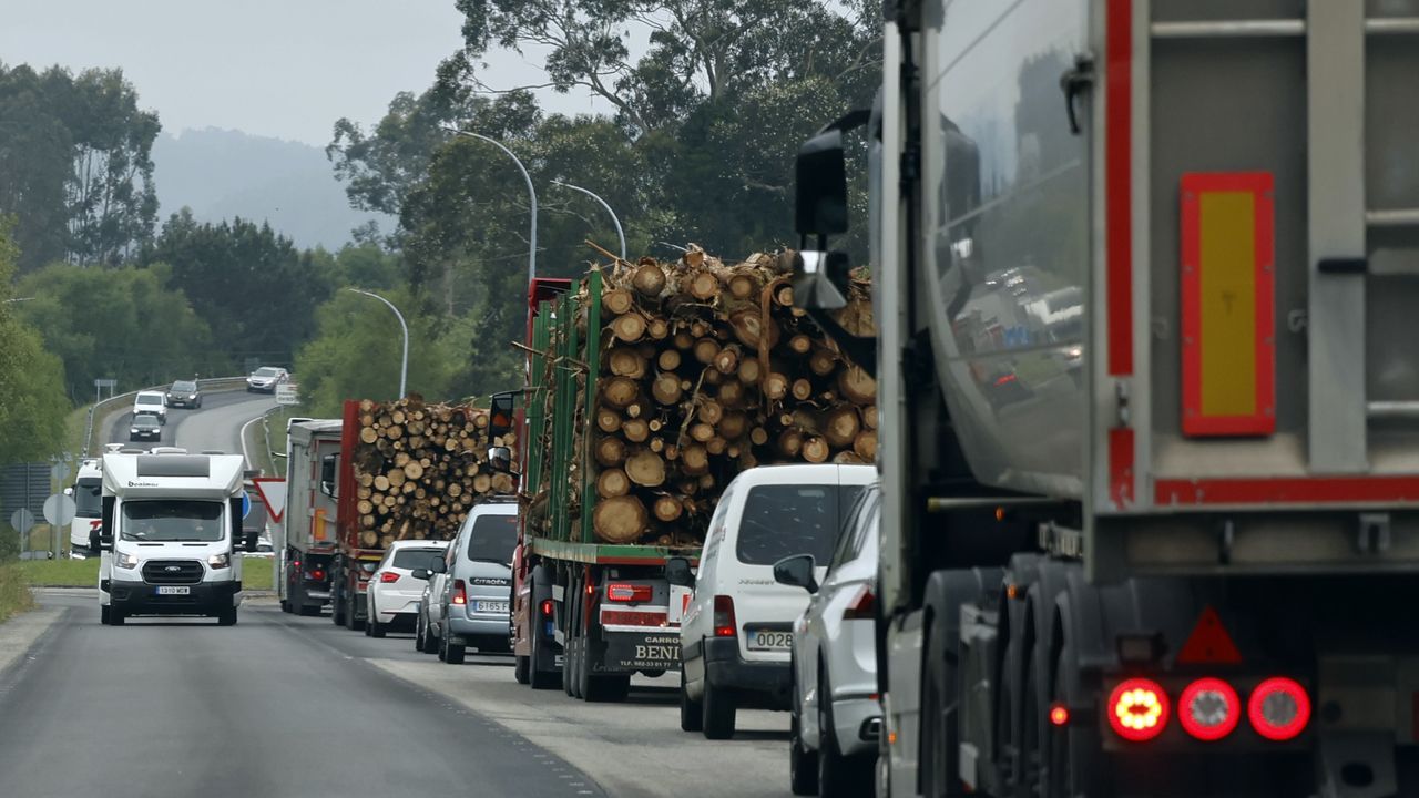 La fuerza de la madera en A Mariña: estas son las empresas con mayor volumen de negocio