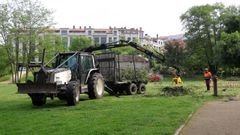 Trabajos de saneamiento del arbolado en la senda del Gafos, en Pontevedra