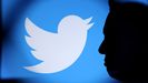 El perfil de Elon Musk, junto a un logo de Twitter