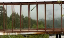 Uno de los adhesivos de aves rapaces est� colocado en la pasarela de acceso a la biblioteca. Debajo, dos de los modelos dise�ados. 