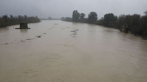 El r�o Guadalquivir se encuentra al l�mite de su capacidad a su paso por la localidad sevillana de Villaverde del R�o 