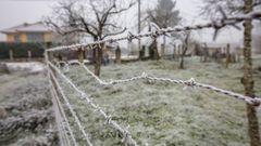 Las fotos de otra noche�de helada en Monforte