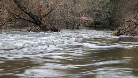 El r�o Umia baja al l�mite de su capacidad en As Ace�as