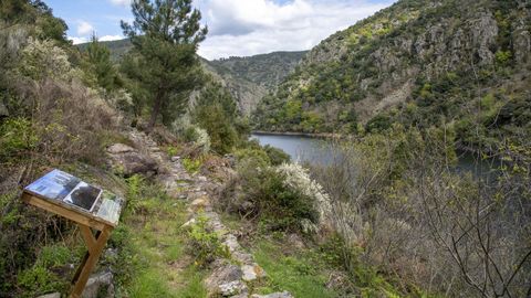 Un panel explicativo en la ruta de senderismo de A Empardeada, en la ribera soberina del can del Sil