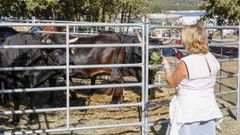 As� fue la feria Crianza Trevinca en A Veiga