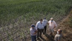 Cinco de los vecinos denunciados, despu�s de que la Audiencia Provincial les diese la raz�n