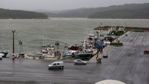 Flota amarrada en el puerto de Camari�as