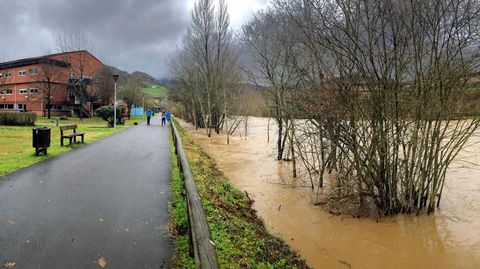 Aspecto Del R�o Pilo�a a su paso por el hospital de Arriondas