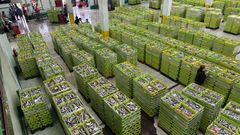 Cerca de 250.000 kilos de bocarte se subastaron en la lonja de A Coru�a el 12 de agosto del 2026.