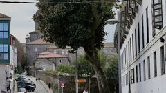 En el barrio de Pelamios, que est� a cinco minutos de la Catedral, los vecinos tienen localizados cinco pisos okupados