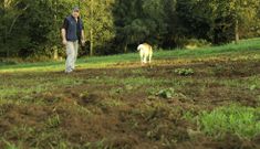 Los da�os son frecuentes en la zona., especialmente en las plantaciones nuevas de hierba. 
