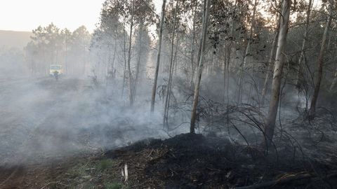 Incendio forestal en Entrecruces hace unos d&iacute;as
