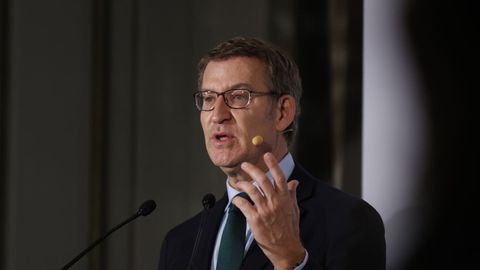 El presidente del PP, Alberto N��ez Feijoo.