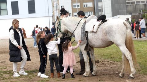 FERIA CABALLAR Y MAQUINARIA AGRICOLA EN SAN MARCOS