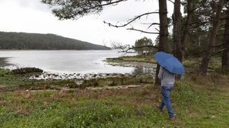 Prácticamente toda la producción de A Basa, en Camariñas, está perdida.