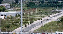 La maleza inunda desde hace meses las parcelas urbanizadas en los terrenos de Tafisa. 