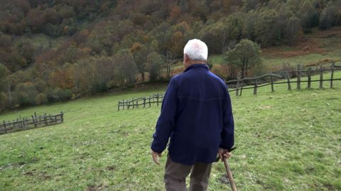  El nome de los �rboles . Ram�n Llu�s Bande, 2015