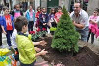 Los escolares plantaron arbustos y flores navide�as en distintos puntos de la ciudad; una iniciativa municipal que seguir� la pr�xima semana
