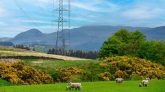 La distribuci�n de energ�a de Iberdrola fue de r�cord