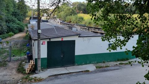 Actual Protectora de Lugo.