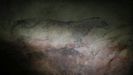 La cueva de Tito Bustillo, ubicada en el concejo asturiano de Ribadesella, considerada uno de los referentes mundiales de arte rupestre y catalogada como Patrimonio de la Humanidad, conmemora este mes el 50 aniversario de su descubrimiento. La caverna conserva doce conjuntos artísticos que hoy se interpretan como uno solo y en el que se diferencian dos etapas: una premagdaleniense, que comprende los conjuntos localizados en la galería larga junto con las primeras fases del panel principal, y otra magdaleniense, a la que pertenecen los conjuntos próximos a la entrada original y las últimas fases del panel principal